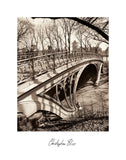 Central Park Bridges 3 -  Chris Bliss - McGaw Graphics