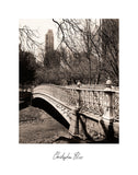 Central Park Bridges 2 -  Chris Bliss - McGaw Graphics