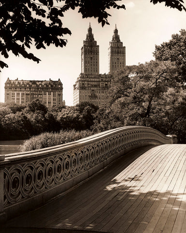 Central Park Bridges 1 -  Chris Bliss - McGaw Graphics