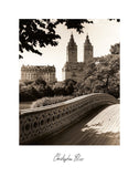 Central Park Bridges 1 -  Chris Bliss - McGaw Graphics