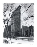 Flatiron Building -  Chris Bliss - McGaw Graphics