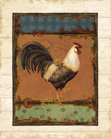 Rooster Portraits III -  Daphné B - McGaw Graphics