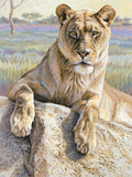 Serengeti Lioness -  Kalon Baughan - McGaw Graphics
