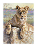 Serengeti Lioness -  Kalon Baughan - McGaw Graphics