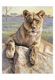 Serengeti Lioness -  Kalon Baughan - McGaw Graphics