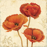 Poppy Bouquet II -  Daphné B - McGaw Graphics