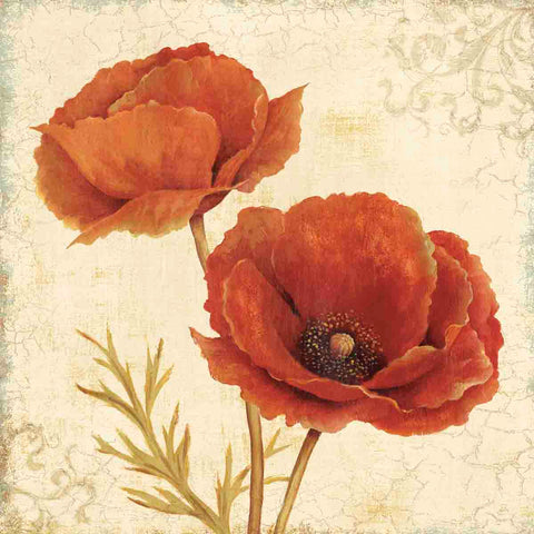Poppy Bouquet I -  Daphné B - McGaw Graphics