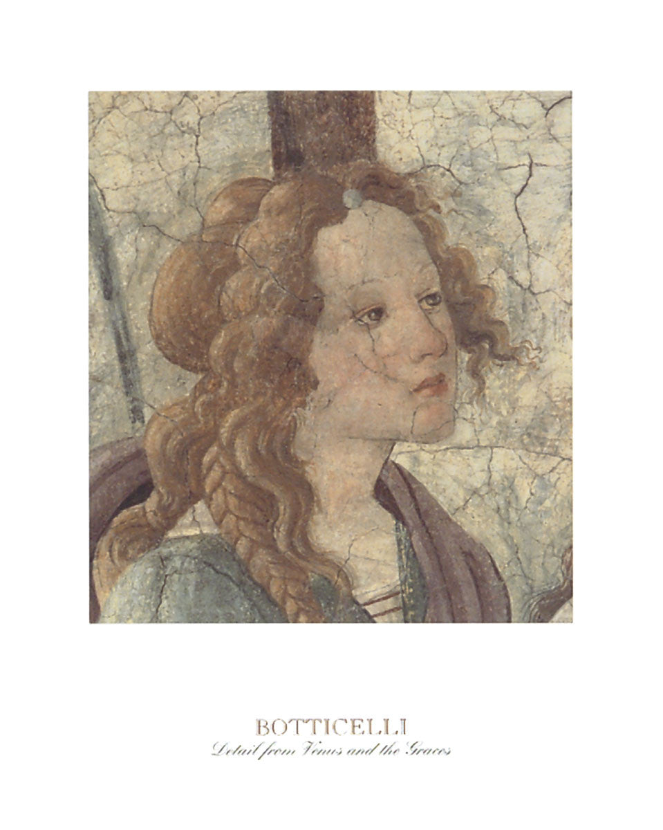 アート・デザイン・音楽 Sandro Botticelli: The Drawings for Botticelli Drawings