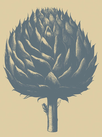 Artichoke 1 -  Botanical Series - McGaw Graphics