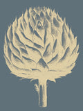 Artichoke 2 -  Botanical Series - McGaw Graphics