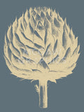 Artichoke 2 -  Botanical Series - McGaw Graphics