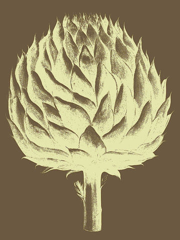 Artichoke 4 -  Botanical Series - McGaw Graphics