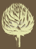 Artichoke 4 -  Botanical Series - McGaw Graphics