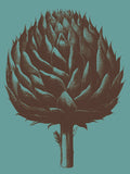 Artichoke 5 -  Botanical Series - McGaw Graphics