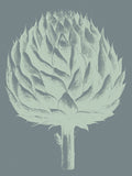 Artichoke 7 -  Botanical Series - McGaw Graphics