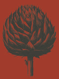Artichoke 9 -  Botanical Series - McGaw Graphics