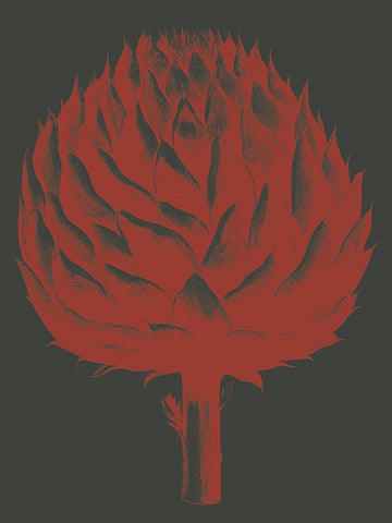 Artichoke 10 -  Botanical Series - McGaw Graphics