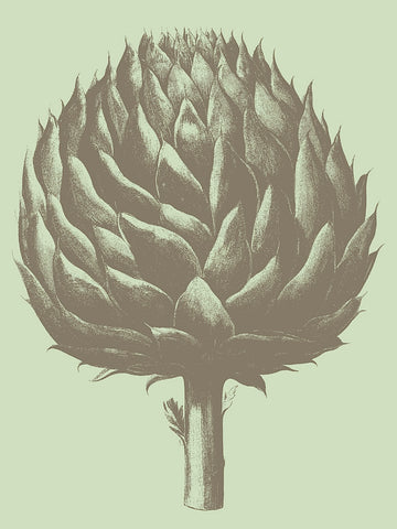 Artichoke 11 -  Botanical Series - McGaw Graphics