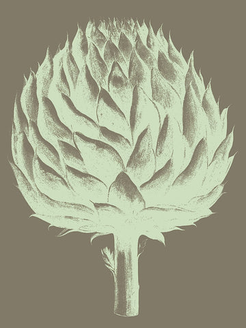 Artichoke 12 -  Botanical Series - McGaw Graphics