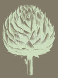 Artichoke 12 -  Botanical Series - McGaw Graphics