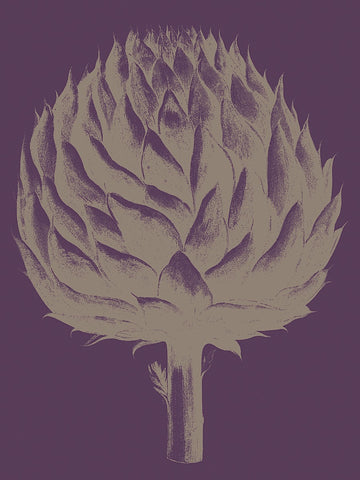 Artichoke 13 -  Botanical Series - McGaw Graphics