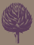 Artichoke 14 -  Botanical Series - McGaw Graphics