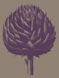 Artichoke 14 -  Botanical Series - McGaw Graphics