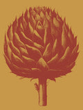 Artichoke 15 -  Botanical Series - McGaw Graphics