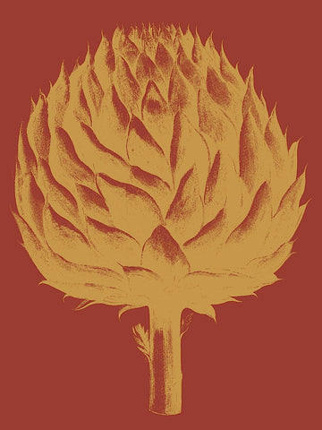 Artichoke 16 -  Botanical Series - McGaw Graphics