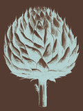 Artichoke 17 -  Botanical Series - McGaw Graphics