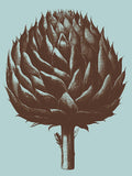 Artichoke 18 -  Botanical Series - McGaw Graphics