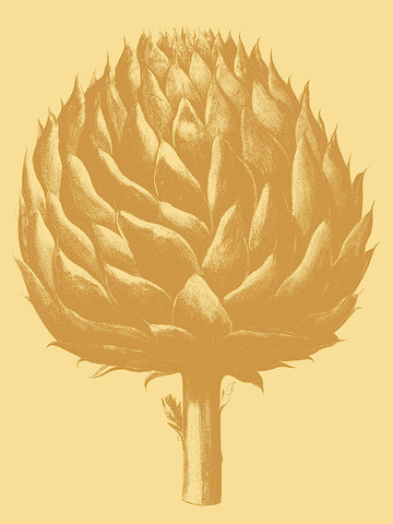 Artichoke 19 -  Botanical Series - McGaw Graphics