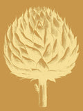 Artichoke 20 -  Botanical Series - McGaw Graphics