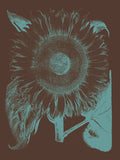 Sunflower 6 -  Botanical Series - McGaw Graphics