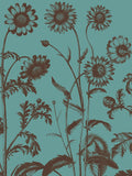 Chrysanthemum 5 -  Botanical Series - McGaw Graphics