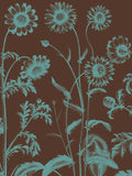 Chrysanthemum 6 -  Botanical Series - McGaw Graphics