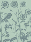 Chrysanthemum 8 -  Botanical Series - McGaw Graphics
