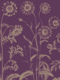 Chrysanthemum 13 -  Botanical Series - McGaw Graphics