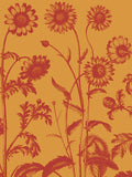 Chrysanthemum 15 -  Botanical Series - McGaw Graphics