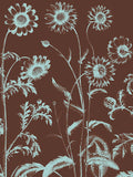 Chrysanthemum 17 -  Botanical Series - McGaw Graphics