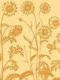 Chrysanthemum 19 -  Botanical Series - McGaw Graphics