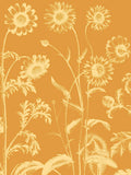 Chrysanthemum 20 -  Botanical Series - McGaw Graphics