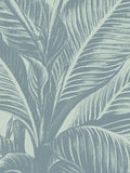 Leaf 8 -  Botanical Series - McGaw Graphics