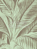 Leaf 12 -  Botanical Series - McGaw Graphics