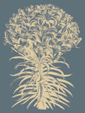 Lilies 2 -  Botanical Series - McGaw Graphics