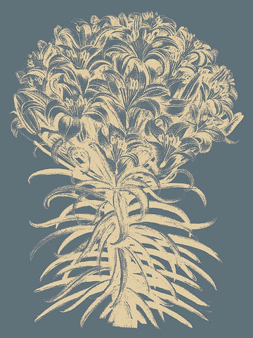Lilies 2 -  Botanical Series - McGaw Graphics