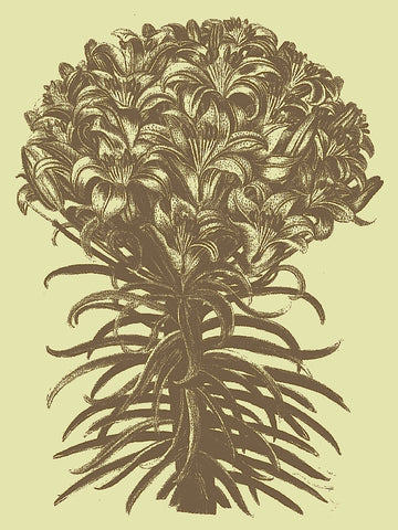 Lilies 4 -  Botanical Series - McGaw Graphics