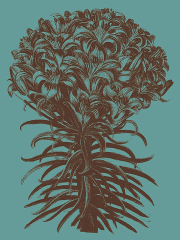 Lilies 5 -  Botanical Series - McGaw Graphics