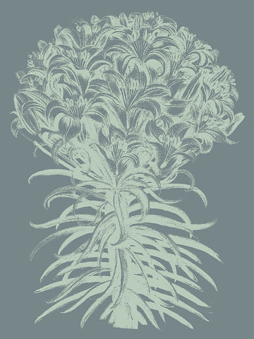 Lilies 7 -  Botanical Series - McGaw Graphics