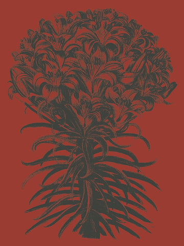 Lilies 9 -  Botanical Series - McGaw Graphics
